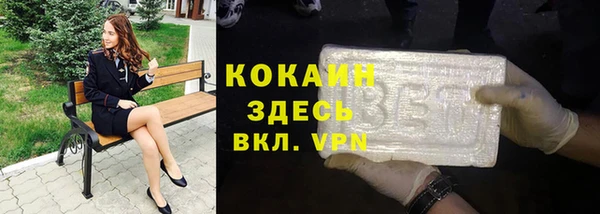 шишки Михайлов