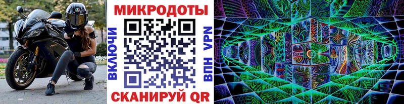 Псилоцибиновые грибы Psilocybine cubensis  Балтийск 