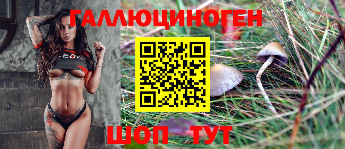 Галлюциногенные грибы Psilocybe  Вход с VPN  Галлюциногенные грибы прущие грибы  Балтийск 